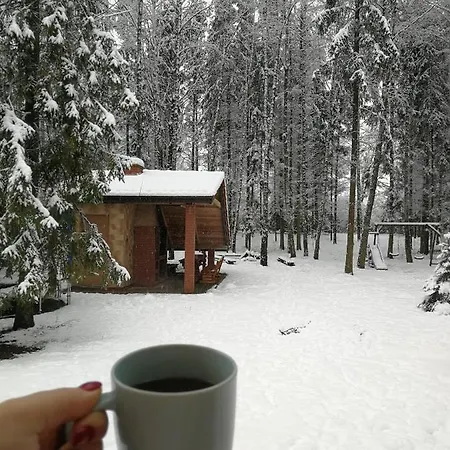 펜션 Poziomka, Mielno, Grunwald Mielno (Ostroda)