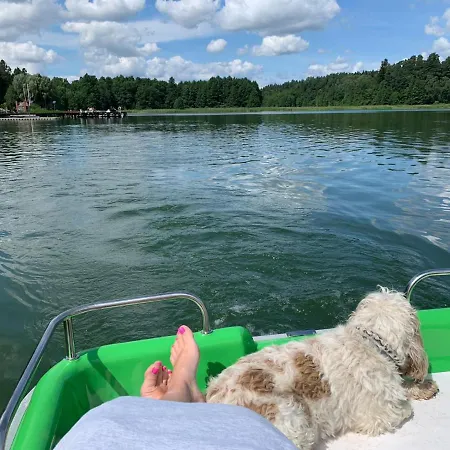 Poziomka, Mielno, Grunwald *