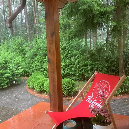 Poziomka, Mielno, Grunwald * Mielno (Ostroda)