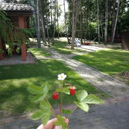 펜션 Poziomka, Mielno, Grunwald